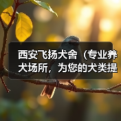 西安飞扬犬舍（专业养犬场所，为您的犬类提供全方位关爱和服务）（图2）
