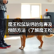 魔王松鼠缺钙的危害及预防方法(了解魔王松鼠缺钙会有哪些不良影响以及如何预防)(图2) 魔王松鼠缺钙的危害及预防方法(了解魔王松鼠缺钙会有哪些不良影响以及如何预防)(图2)