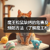 魔王松鼠缺钙的危害及预防方法(了解魔王松鼠缺钙会有哪些不良影响以及如何预防)(图4) 魔王松鼠缺钙的危害及预防方法(了解魔王松鼠缺钙会有哪些不良影响以及如何预防)(图4)