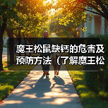 魔王松鼠缺钙的危害及预防方法(了解魔王松鼠缺钙会有哪些不良影响以及如何预防)(图3) 魔王松鼠缺钙的危害及预防方法(了解魔王松鼠缺钙会有哪些不良影响以及如何预防)(图3)