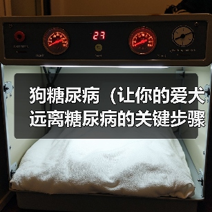 狗糖尿病（让你的爱犬远离糖尿病的关键步骤）（图3）