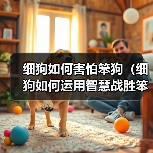 细狗如何害怕笨狗（细狗如何运用智慧战胜笨狗）（图3）