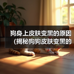 狗身上皮肤变黑的原因（揭秘狗狗皮肤变黑的5大原因）（图4）