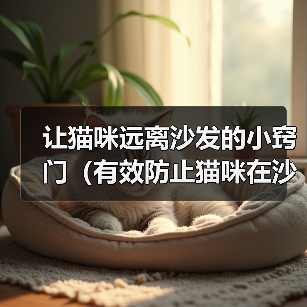 让猫咪远离沙发的小窍门（有效防止猫咪在沙发上睡觉的方法）（图3）