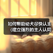 如何帮助幼犬尽快认主（建立强烈的主人认同感，促进快速适应新环境）（图3）