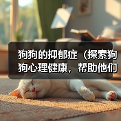 狗狗的抑郁症（探索狗狗心理健康，帮助他们摆脱抑郁）（图3）