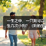 一生之中,一只狗可以生几次小狗?(狗的生育能力及其限制)(图1) 一生之中,一只狗可以生几次小狗?(狗的生育能力及其限制)(图1)
