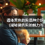 通体黑色的狗品种介绍(揭秘黑色狗的魅力与特点)(图2) 通体黑色的狗品种介绍(揭秘黑色狗的魅力与特点)(图2)