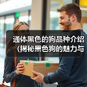 通体黑色的狗品种介绍(揭秘黑色狗的魅力与特点)(图3) 通体黑色的狗品种介绍(揭秘黑色狗的魅力与特点)(图3)