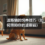 波斯猫的饲养技巧(如何照顾你的波斯猫)(图3) 波斯猫的饲养技巧(如何照顾你的波斯猫)(图3)