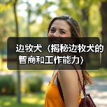 边牧犬（揭秘边牧犬的智商和工作能力）（图1）