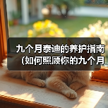 九个月泰迪的养护指南(如何照顾你的九个月大泰迪宝宝)(图1) 九个月泰迪的养护指南(如何照顾你的九个月大泰迪宝宝)(图1)