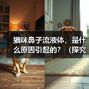 猫咪鼻子流液体,是什么原因引起的?(探究猫咪鼻子流液体的病因与治疗方法)(图1) 猫咪鼻子流液体,是什么原因引起的?(探究猫咪鼻子流液体的病因与治疗方法)(图1)
