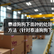 泰迪狗狗下面肿的处理方法（针对泰迪狗狗下面肿瘤问题的解决方案）（图3）