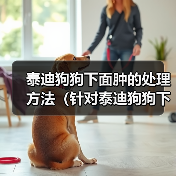 泰迪狗狗下面肿的处理方法（针对泰迪狗狗下面肿瘤问题的解决方案）（图2）