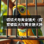 银狐犬与黄金猎犬(探索银狐犬与黄金猎犬跨种配对的优势和特点)(图2) 银狐犬与黄金猎犬(探索银狐犬与黄金猎犬跨种配对的优势和特点)(图2)
