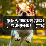 猫咪食用驱虫药后呕吐,应如何处理?(了解猫咪食用驱虫药后呕吐的原因和应对方法)(图3) 猫咪食用驱虫药后呕吐,应如何处理?(了解猫咪食用驱虫药后呕吐的原因和应对方法)(图3)