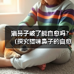 猫鼻子破了能自愈吗?(探究猫咪鼻子的自愈能力及相应护理方法)(图1) 猫鼻子破了能自愈吗?(探究猫咪鼻子的自愈能力及相应护理方法)(图1)