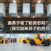 猫鼻子破了能自愈吗?(探究猫咪鼻子的自愈能力及相应护理方法)(图3) 猫鼻子破了能自愈吗?(探究猫咪鼻子的自愈能力及相应护理方法)(图3)