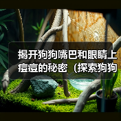 揭开狗狗嘴巴和眼睛上痘痘的秘密（探索狗狗面部痘痘的成因及治疗方法）（图1）