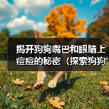 揭开狗狗嘴巴和眼睛上痘痘的秘密（探索狗狗面部痘痘的成因及治疗方法）（图3）