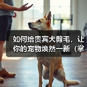如何给贵宾犬剪毛，让你的宠物焕然一新（掌握正确的技巧，让贵宾犬毛发亮丽有型）（图4）