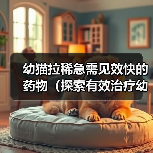 幼猫拉稀急需见效快的药物（探索有效治疗幼猫拉稀的药物，提供安全快速的解决方案）（图3）