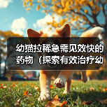 幼猫拉稀急需见效快的药物（探索有效治疗幼猫拉稀的药物，提供安全快速的解决方案）（图4）