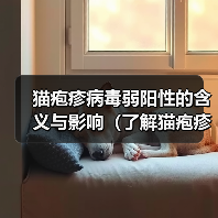 猫疱疹病毒弱阳性的含义与影响（了解猫疱疹病毒的弱阳性测试结果和相关预防措施）（图3）