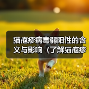 猫疱疹病毒弱阳性的含义与影响（了解猫疱疹病毒的弱阳性测试结果和相关预防措施）（图1）