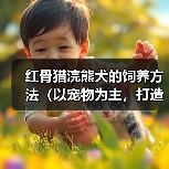 红骨猎浣熊犬的饲养方法（以宠物为主，打造健康快乐的生活）（图3）