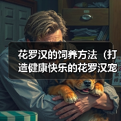 花罗汉的饲养方法（打造健康快乐的花罗汉宠物生活）（图4）