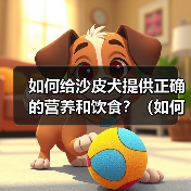 如何给沙皮犬提供正确的营养和饮食？（如何给沙皮犬提供正确的营养和饮食？）（图1）