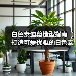 白色泰迪剪造型指南（打造可爱优雅的白色泰迪造型，让你的宠物成为众人焦点）（图1）