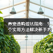 养宠选购避坑指南:5个实用方法解决新手养护难题(图4) 养宠选购避坑指南:5个实用方法解决新手养护难题(图4)