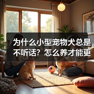 为什么小型宠物犬总是不听话？怎么养才能更听话？（图2）