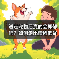 送走宠物后真的会抑郁吗?如何走出情绪低谷(图4) 送走宠物后真的会抑郁吗?如何走出情绪低谷(图4)