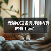 宠物心理咨询师剑桥真的有用吗?(图2) 宠物心理咨询师剑桥真的有用吗?(图2)