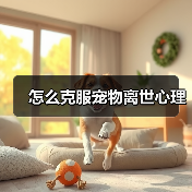 怎么克服宠物离世心理(图3) 怎么克服宠物离世心理(图3)