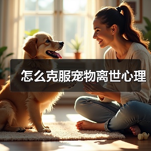 怎么克服宠物离世心理(图4) 怎么克服宠物离世心理(图4)