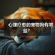 心理疗愈的宠物狗有哪些?(图3) 心理疗愈的宠物狗有哪些?(图3)
