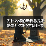 为什么你的宠物总是不听话?这3个方法让你轻松搞定(图3) 为什么你的宠物总是不听话?这3个方法让你轻松搞定(图3)