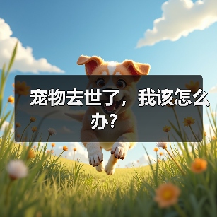 宠物去世了,我该怎么办?(图1) 宠物去世了,我该怎么办?(图1)