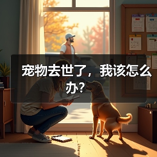 宠物去世了,我该怎么办?(图3) 宠物去世了,我该怎么办?(图3)