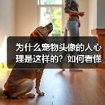 为什么宠物头像的人心理是这样的？如何看懂他们的内心世界？（图2）