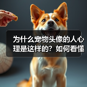 为什么宠物头像的人心理是这样的？如何看懂他们的内心世界？（图4）