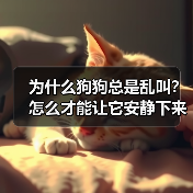 为什么狗狗总是乱叫?怎么才能让它安静下来?(图3) 为什么狗狗总是乱叫?怎么才能让它安静下来?(图3)