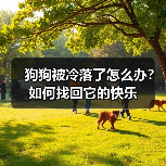 狗狗被冷落了怎么办?如何找回它的快乐(图1) 狗狗被冷落了怎么办?如何找回它的快乐(图1)