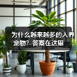 为什么越来越多的人养宠物？答案在这里（图1）