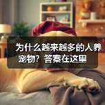 为什么越来越多的人养宠物？答案在这里（图3）